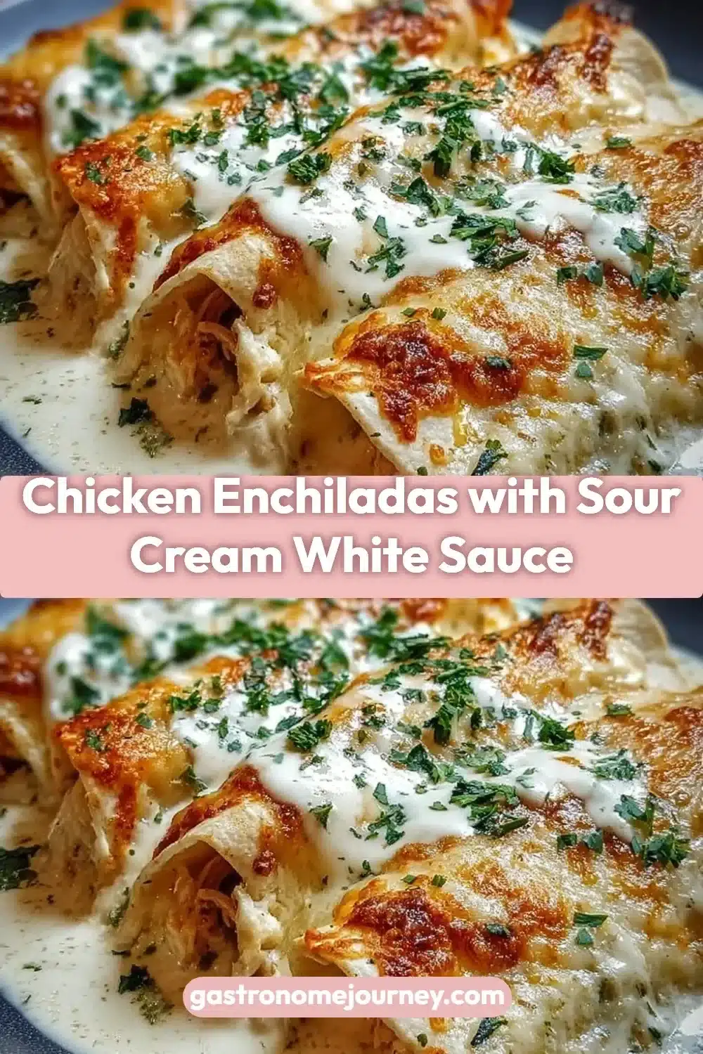 Chicken Enchiladas with Sour Cream White Sauce